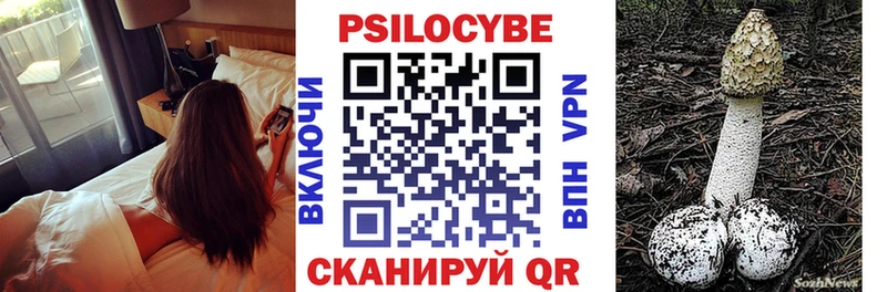 купить наркотик  Елизаветинская  гидра   Галлюциногенные грибы ЛСД 